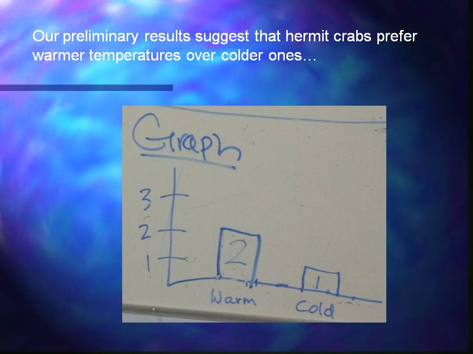 Slideshow title slide, titled 'Our Week as Marine Biologists (or maybe more appropriately... nephologists!'