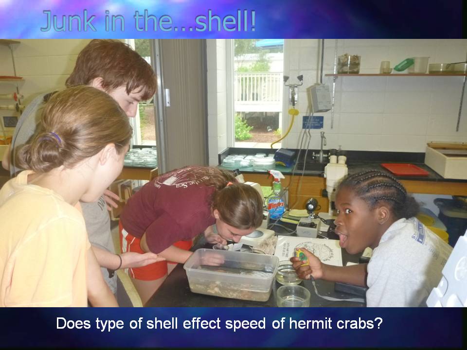 Slideshow title slide, titled 'Our Week as Marine Biologists (or maybe more appropriately... nephologists!'