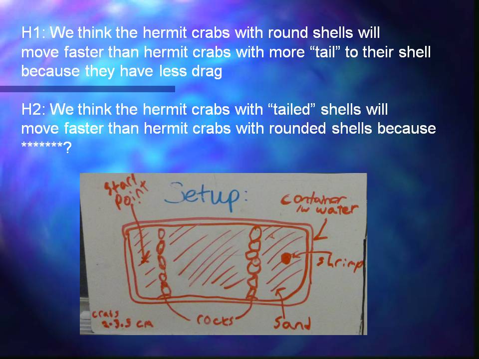 Slideshow title slide, titled 'Our Week as Marine Biologists (or maybe more appropriately... nephologists!'