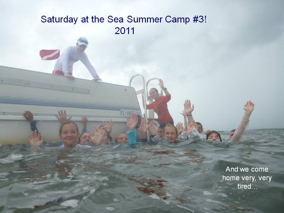 Slide titled 'Saturday at the Sea Summer Camp #3!' and is a full slide photo of camp students waving to the camera as they swim in the Gulf.