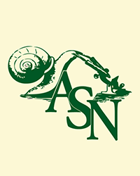 Placeholder image for article
