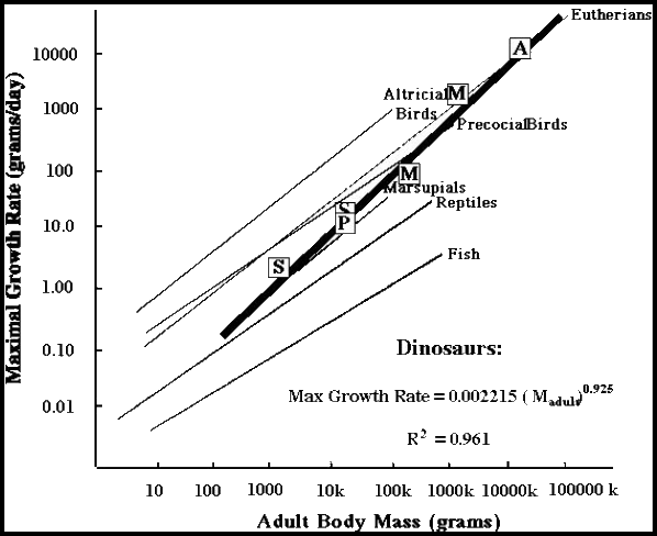 Exponential growth of non-avian dinosaurs compared with data for living vertebrate groups