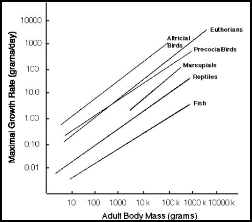 <i>Standardized comparison 