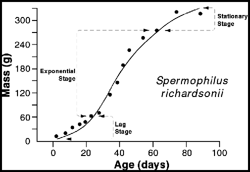 Figure 5. Typical vertebrate growth curve.