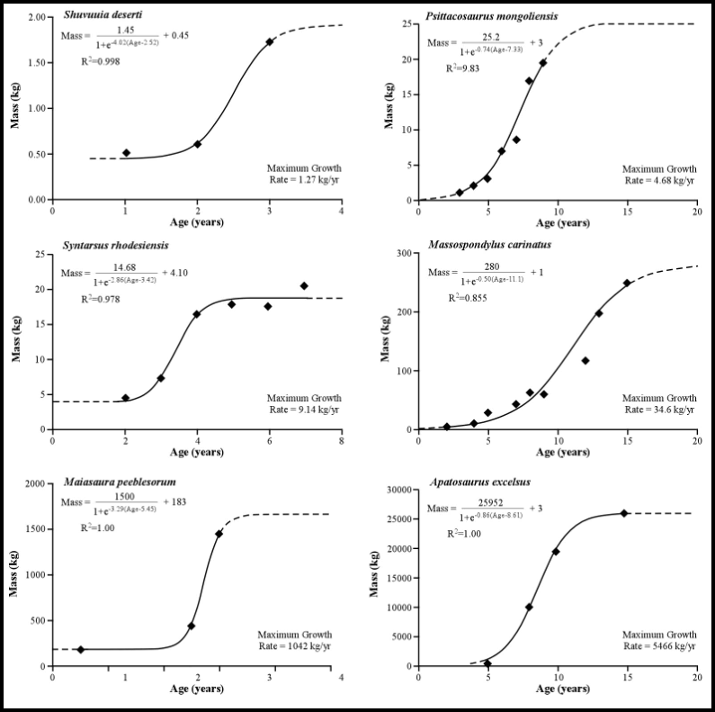 Growth curves for non-avian dinosaurs