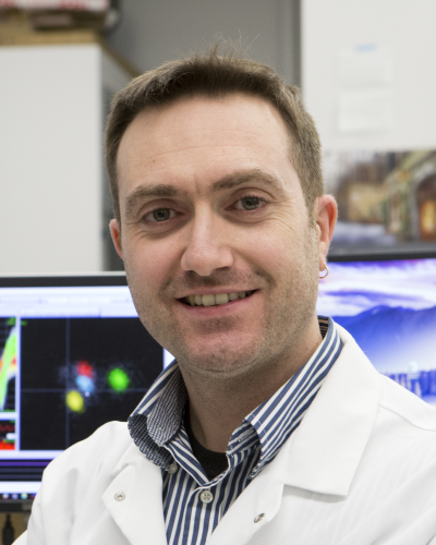 Dr. Roberto Vincis