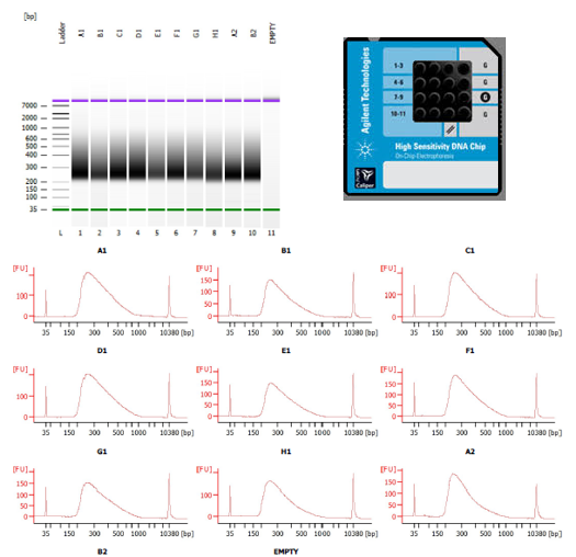 DNA Sequencing