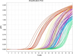 DNA Sequencing