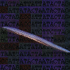Understanding phylogenetic signal in DNA sequences