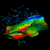 Reconstructing fossil Myoglobins