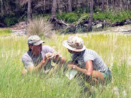 OSTA instructor teaching a teacher about an organism in the tall grass.