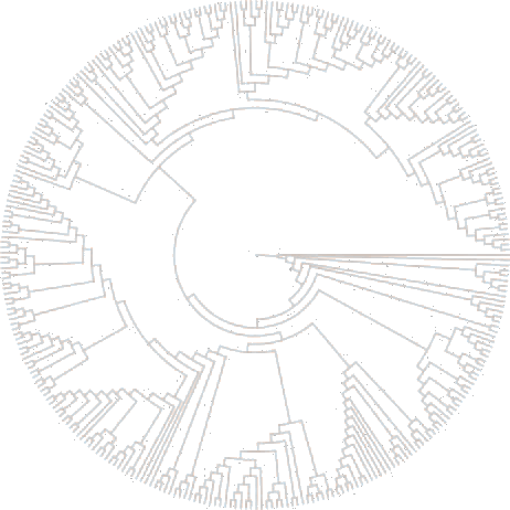 Phylogeny Logo