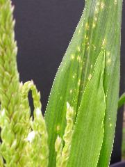 1704_Les6_X27D_2747