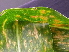 1704_Les6_X27D_2765