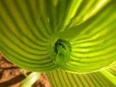 1596_ys3_311F_1563