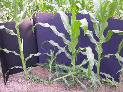 1611_la1_405B_1450