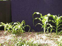 1684_yg2_929