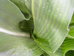 1685_wd1_924D_2177