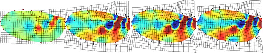 Effect of knockdown of expanded on the adult wing.