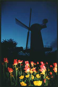 image from halephoto.com