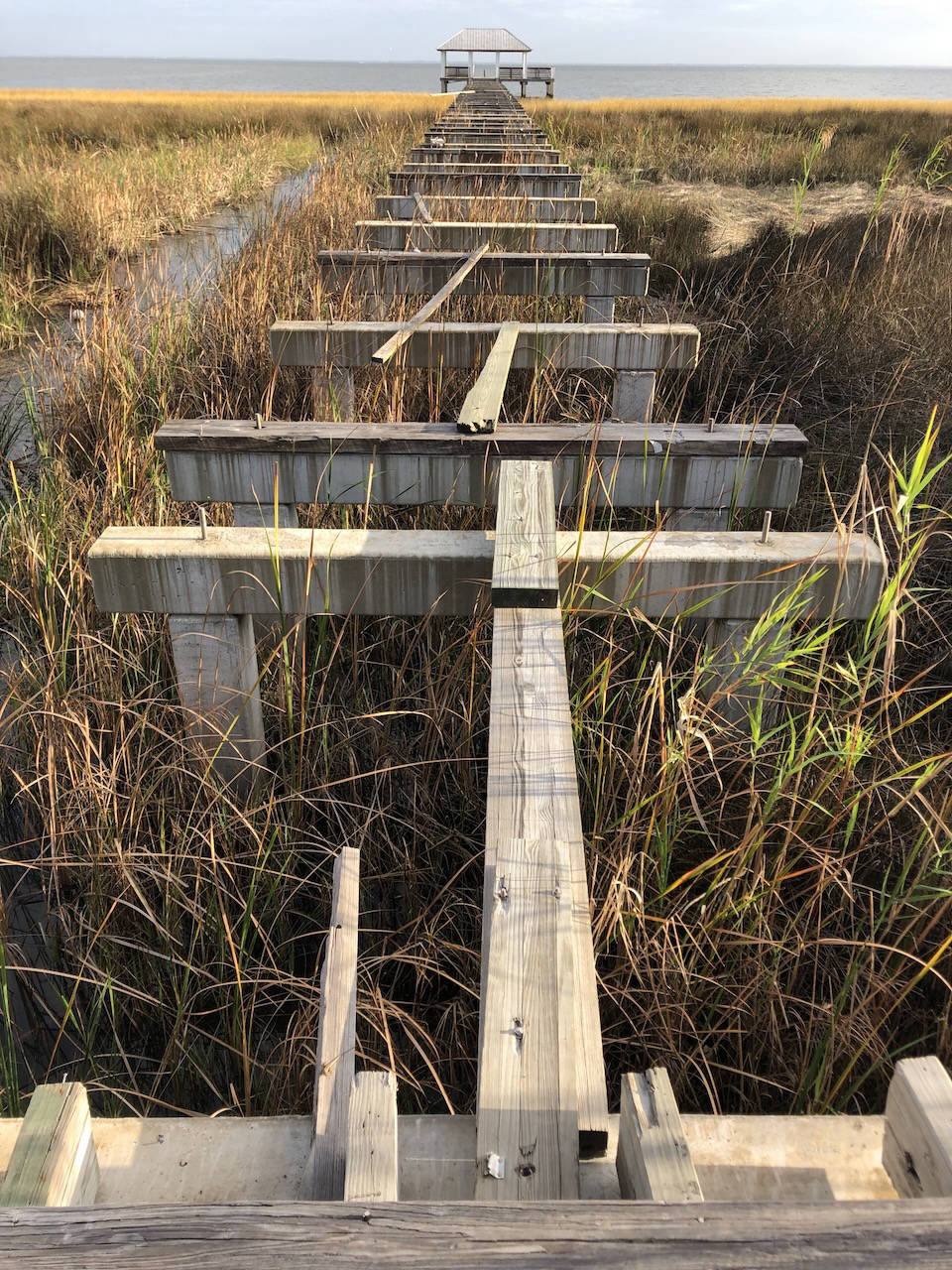 Boardwalk