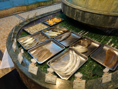 fish