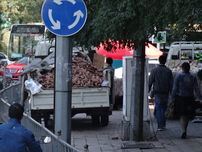 vendors