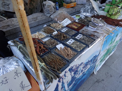 seafood