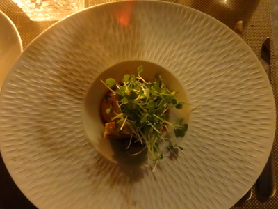 salmon