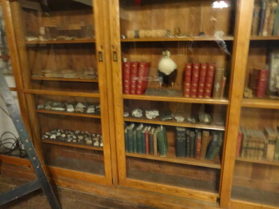shelves