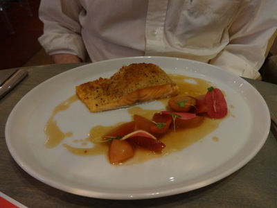 salmon