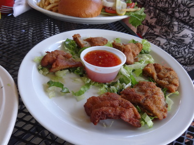 oysters