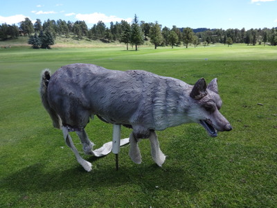 wolf