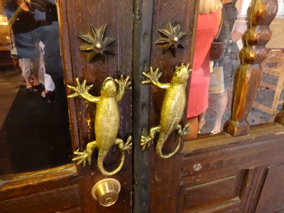 lizards