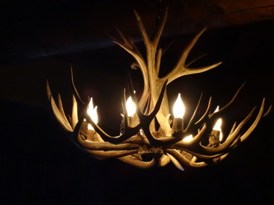 antlers
