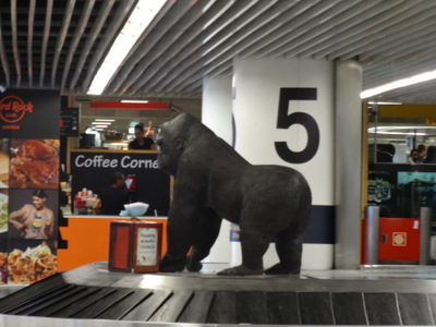 gorilla