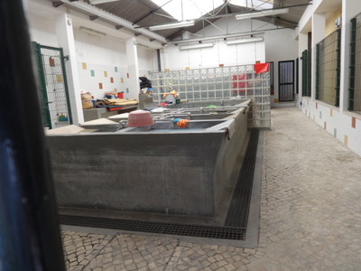 washhouse