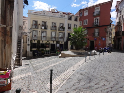 palm