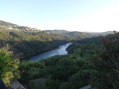 view