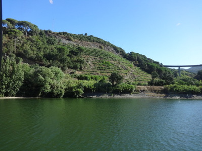 terraces