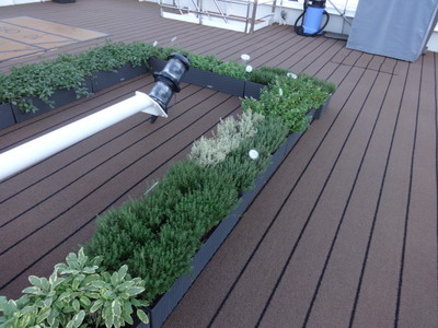 herb garden