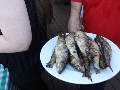 sardines