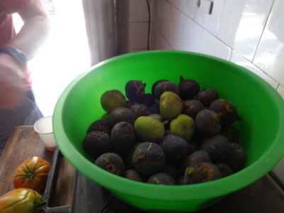 figs