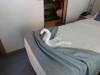 swan