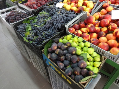 fruit