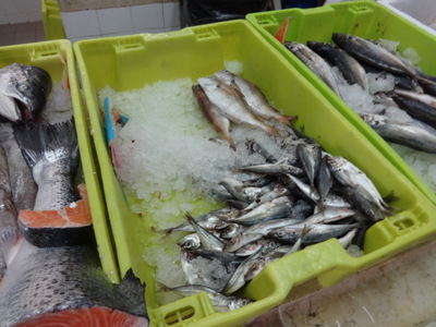fish