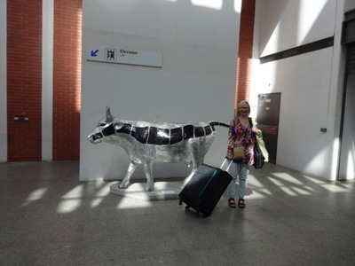 cow