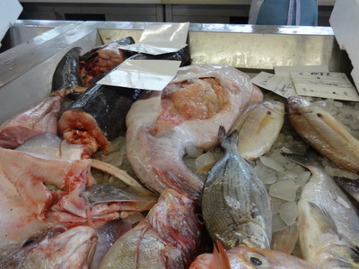 monkfish