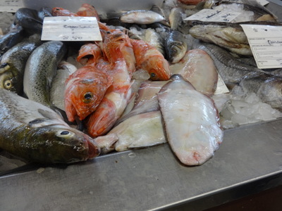 sand dabs
