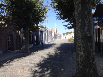 avenue